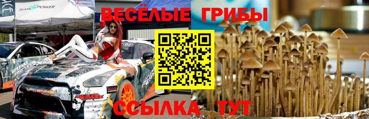 Шахты  Галлюциногенные грибы ЛСД  Вход с VPN 